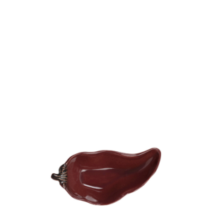 Design Sans Titre 19